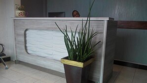Un mostrador de recepción con una planta en maceta.