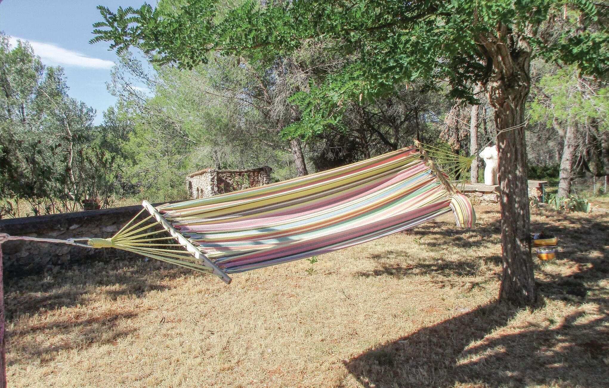 Una hamaca atada entre árboles en un entorno natural.
