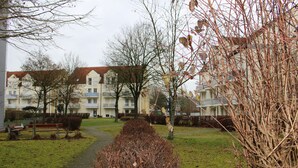 A residential area with a paved walkway, a bench, and leafless bushes.