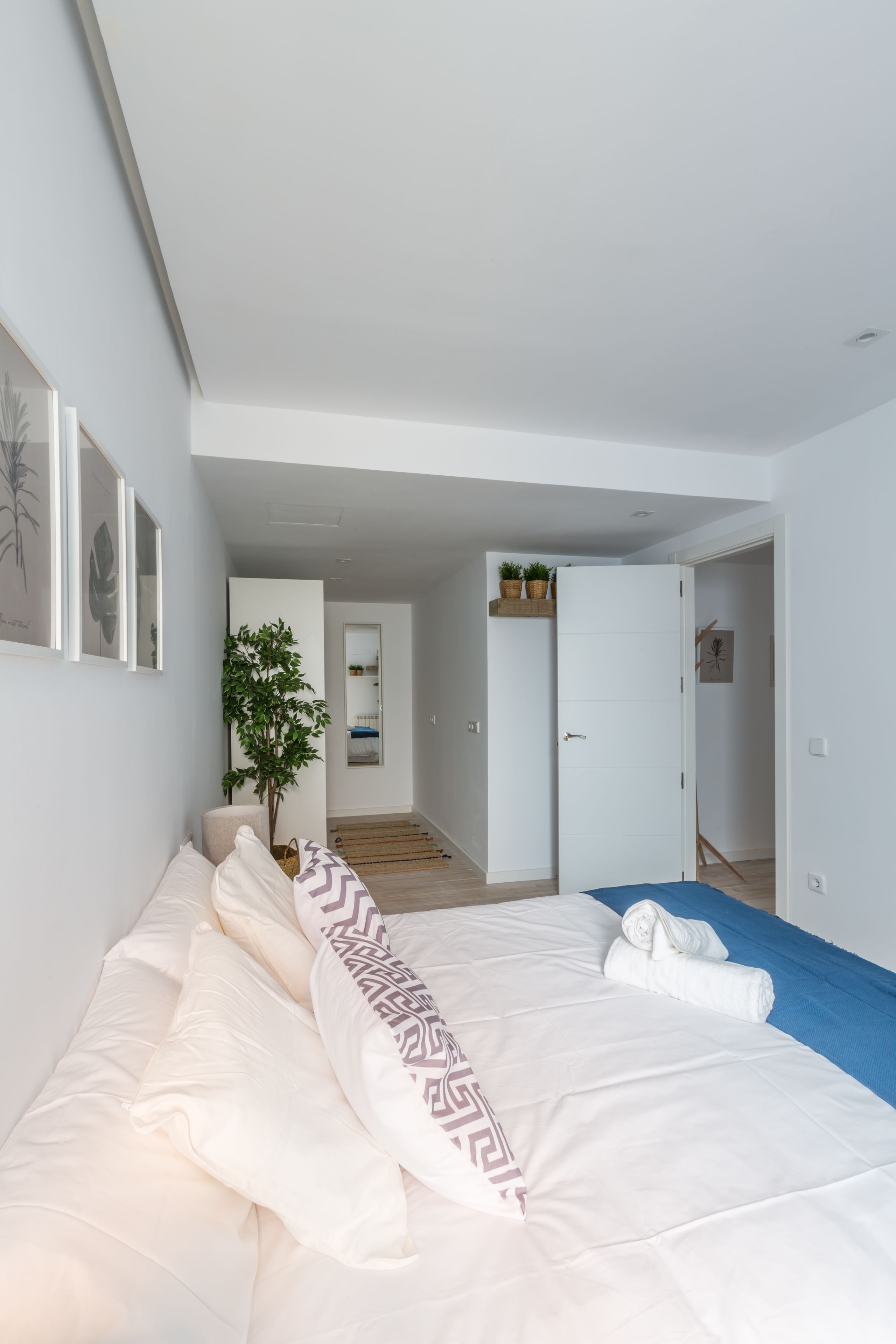A modern bedroom with a large bed, a potted plant, and a view into the hallway.