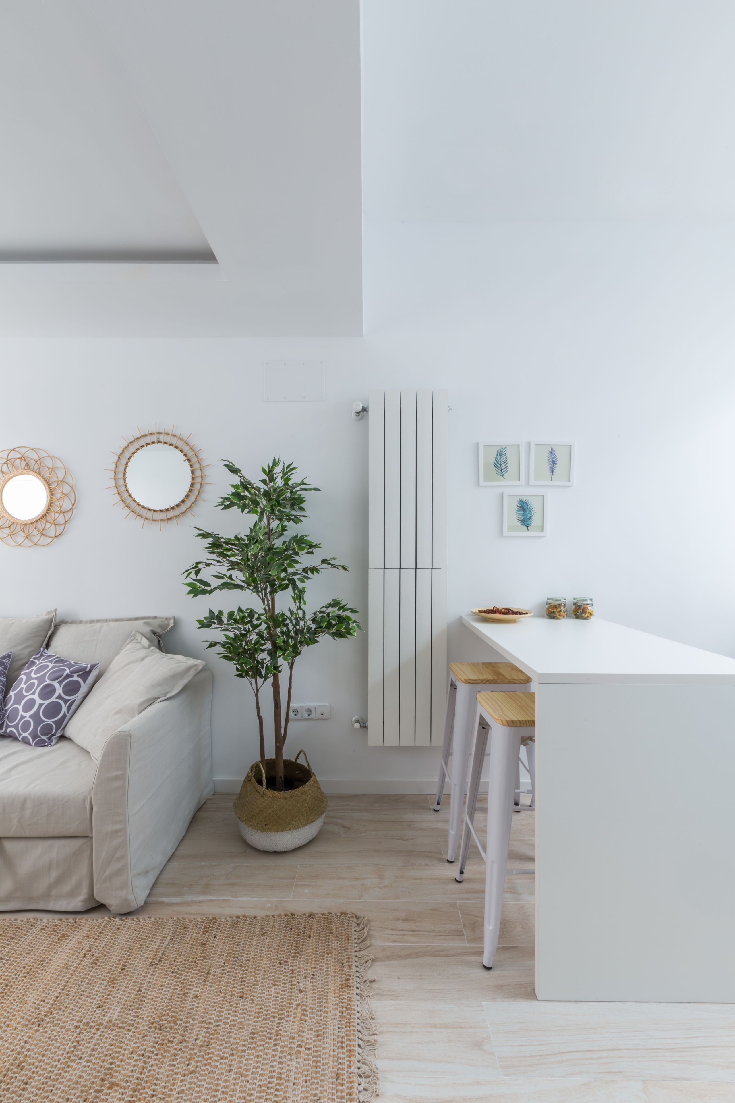 A modern, minimalist living space with a white sofa, a small plant, and a white dining area.