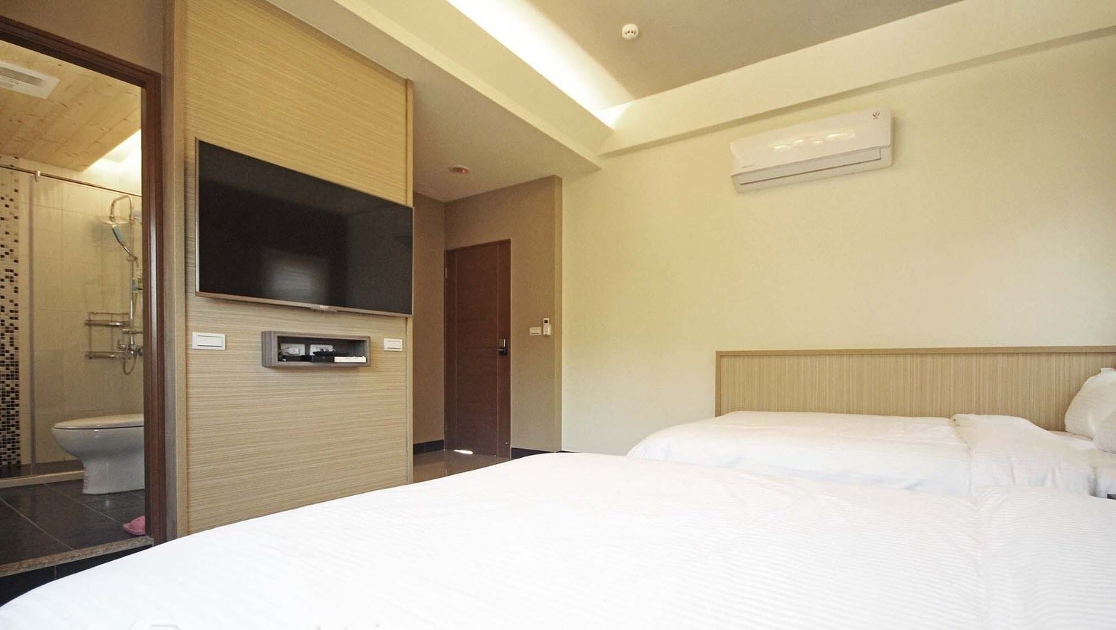 Habitación de hotel con una cama grande, un televisor fijado a la pared, zona de ducha y aire acondicionado.