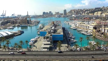 Basic Room, 1 Queen Bed, Non Smoking, Marina View | View from room