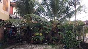 A residential area with palm trees, a satellite dish, and a small garden with various plants. - 3 Bedroom house, 10mins to Malls & the city proper, located in a quiet subd. (Butuan City)