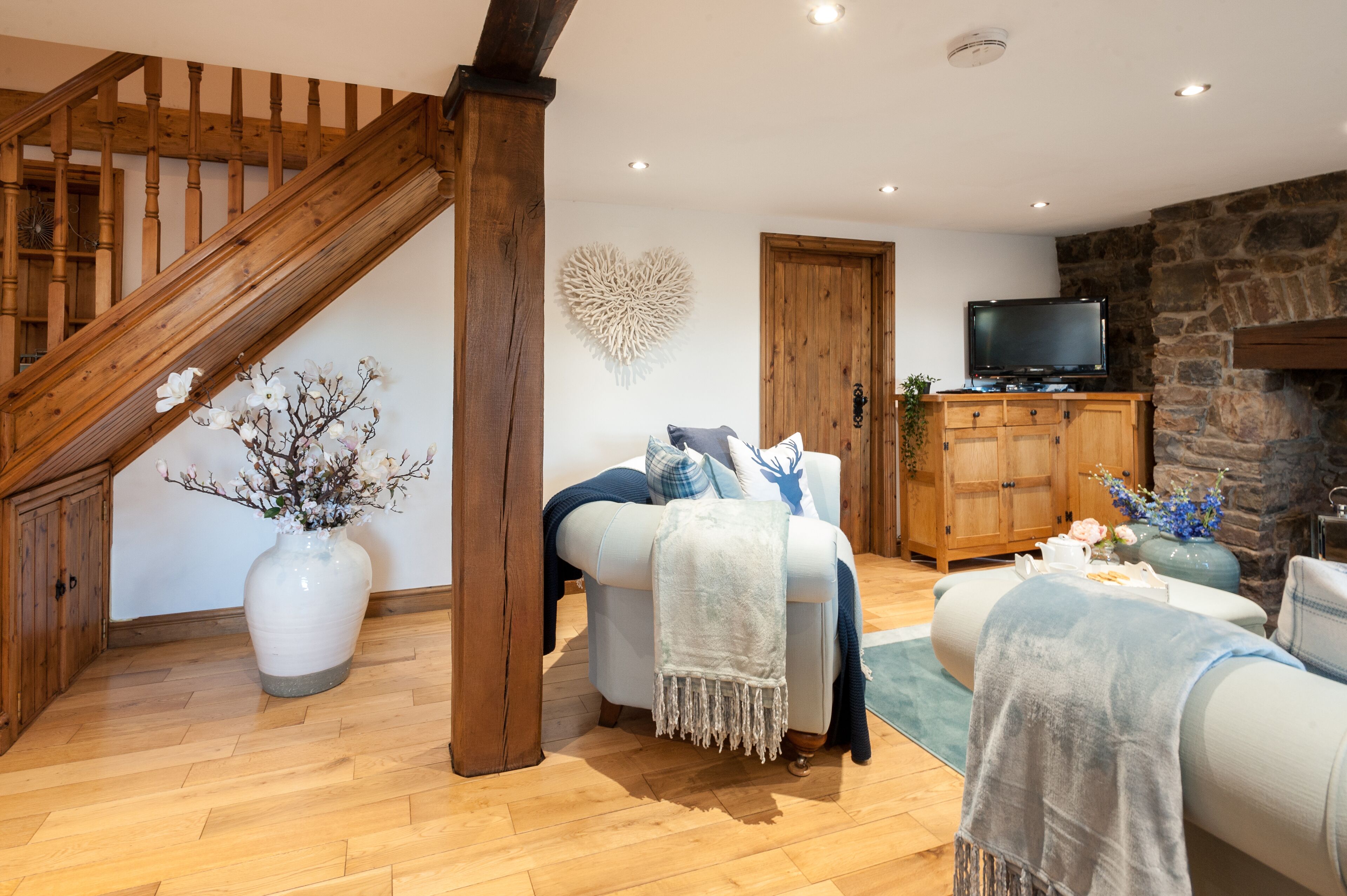 Smart TV, fireplace, DVD player, books