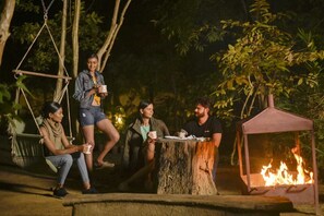 Fireplace - The Celebration Van Vilas Kanha (Bichhiya)