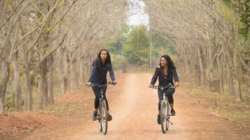 Two people riding bicycles on a dirt path surrounded by trees.