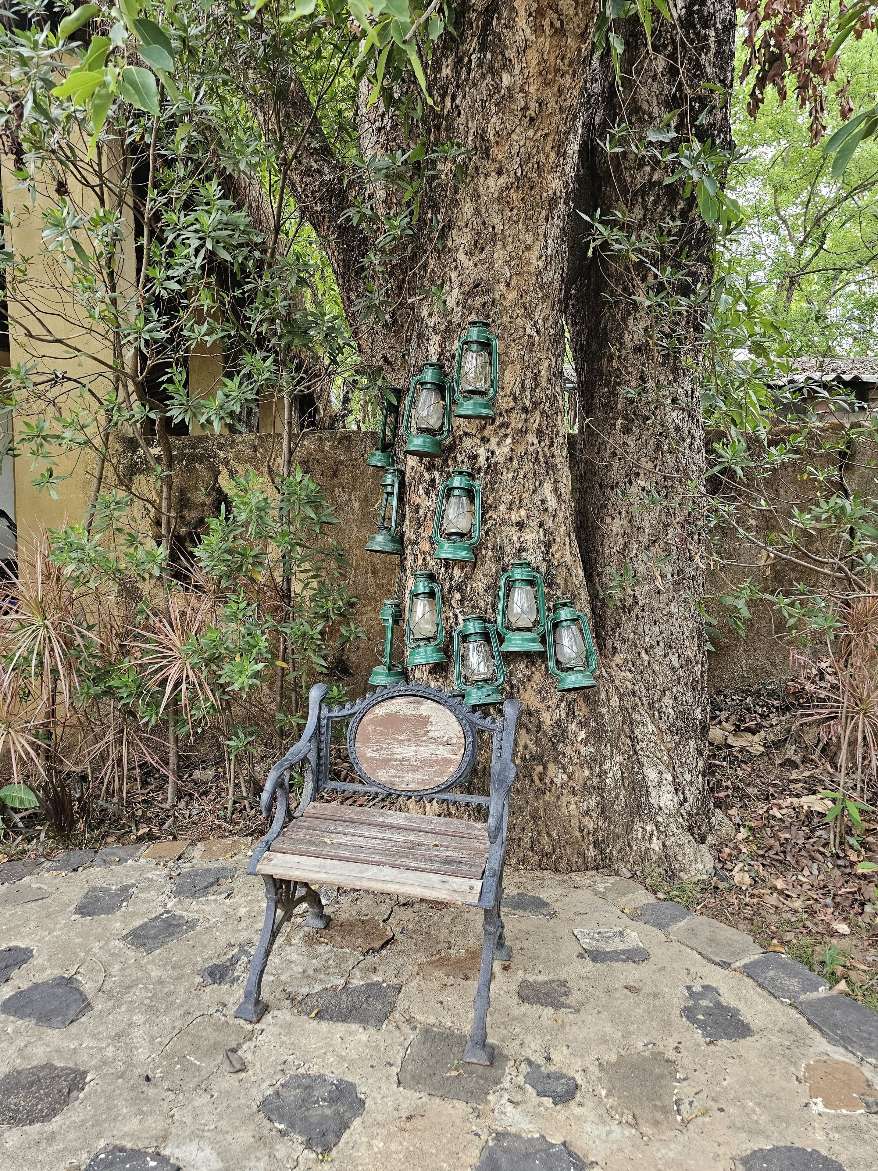A bench with a metal frame and wooden seat, positioned in front of a tree with lanterns attached to its trunk.