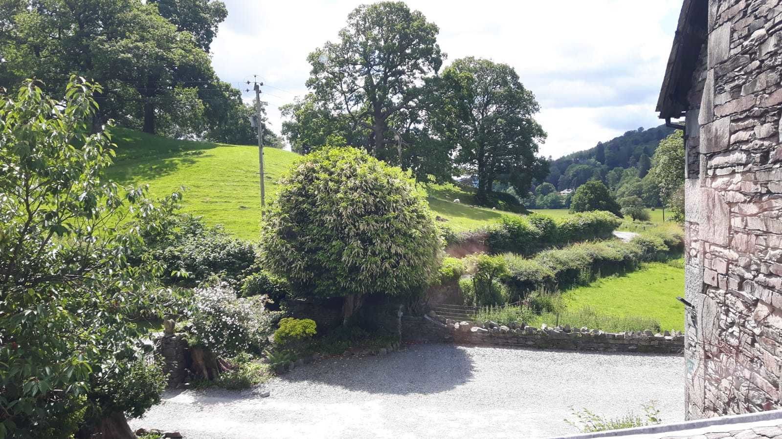 A rural landscape with a stone wall, a gravel path, and a large tree.