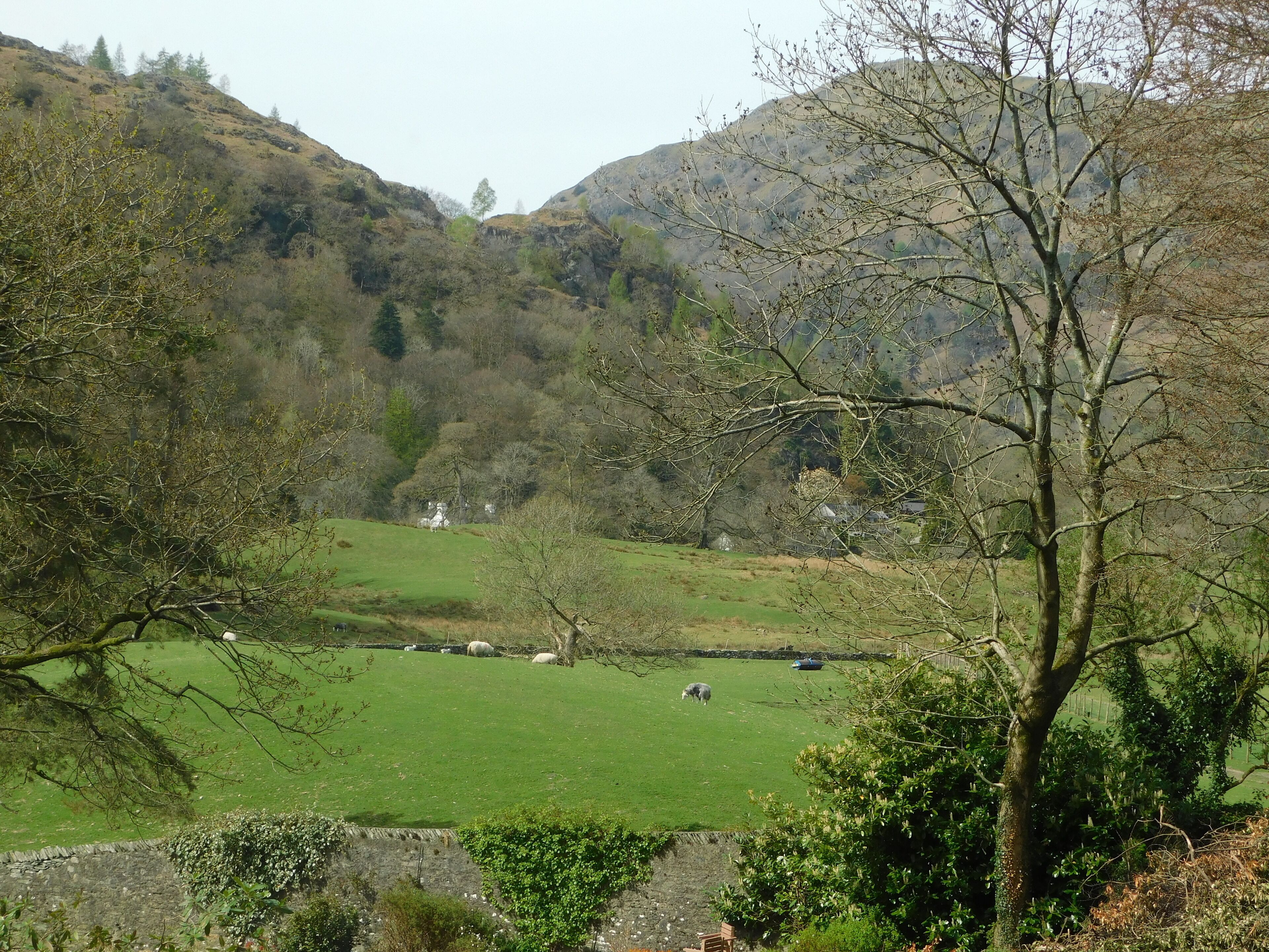 A rural landscape with a green field, sheep grazing, and a stone wall.