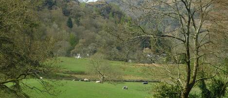 A rural landscape with a green field, sheep grazing, and a stone wall.