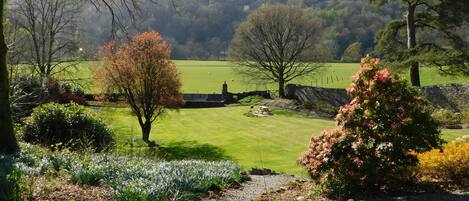 A rural landscape with a stone wall, a grassy field, and a tree with pink flowers.