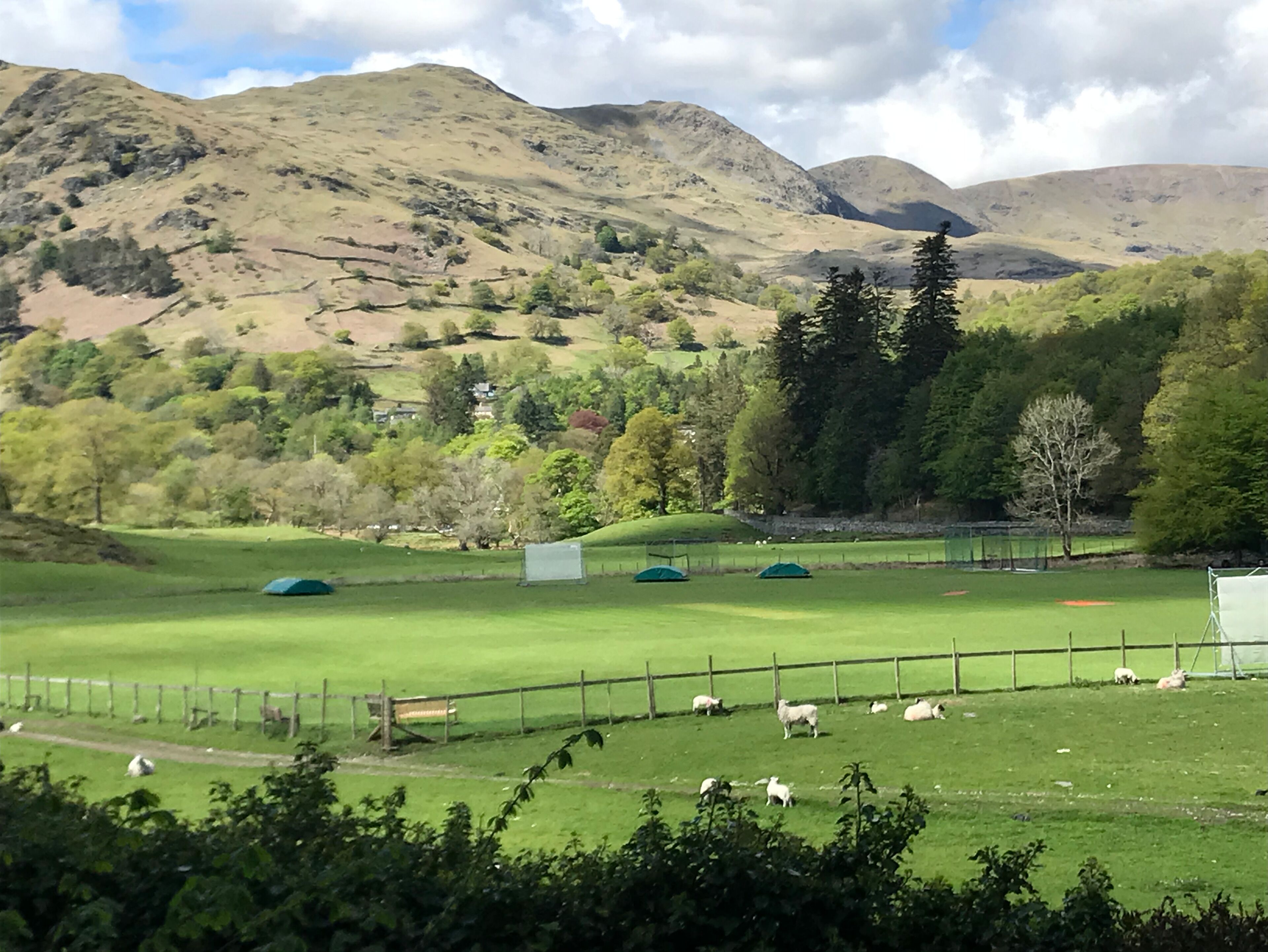 Un paisaje rural con colinas ondulantes, un campo cercado con ovejas y un pequeño edificio.