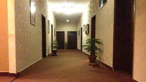 A hallway with carpeted floors, framed pictures on the walls, and potted plants. - Greenland Hotel (Lahore)