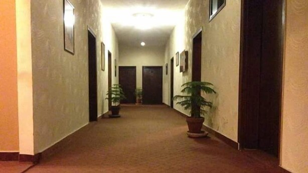 A hallway with carpeted floors, framed pictures on the walls, and potted plants. - Greenland Hotel (Lahore)