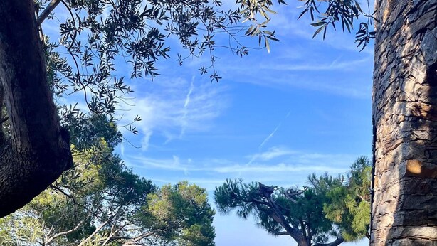 A patio with wicker chairs and a table overlooking a scenic view of the sea and greenery. - Holiday rental semidetached with swimming pool in Begur, Sa Riera (Begur)