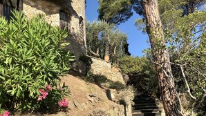 A stone staircase leading up to a rustic stone building with a tiled roof, surrounded by greenery and trees. - Holiday rental semidetached with swimming pool in Begur, Sa Riera (Begur)