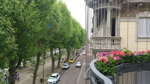 Una calle bordeada de árboles y coches aparcados, con un edificio de arquitectura clásica al fondo.
