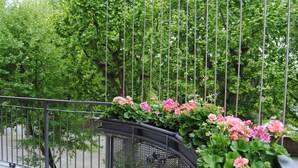 Un balcón con barandilla de metal, rodeado de frondosos árboles verdes y flores rosadas.