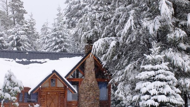 Une cabane en rondins avec une cheminée en pierre, entourée d’arbres couverts de neige.