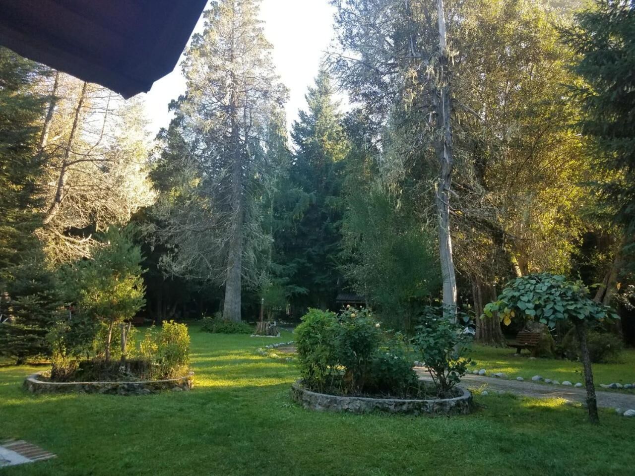Un jardin avec un sentier en pierre, divers arbustes et de grands arbres.