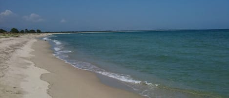 Plage à proximité