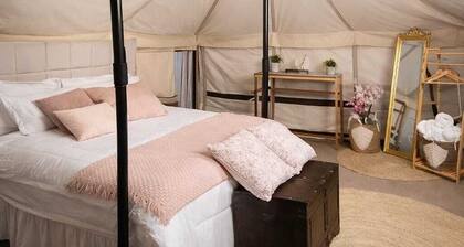 Desert Wonders Camp