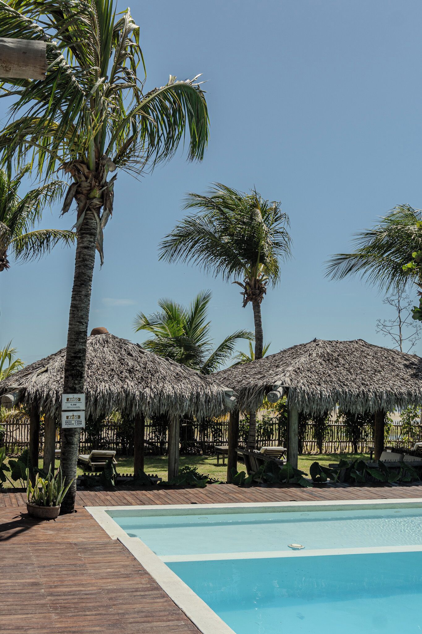 A pool area with thatched umbrellas, palm trees, and a wooden deck.