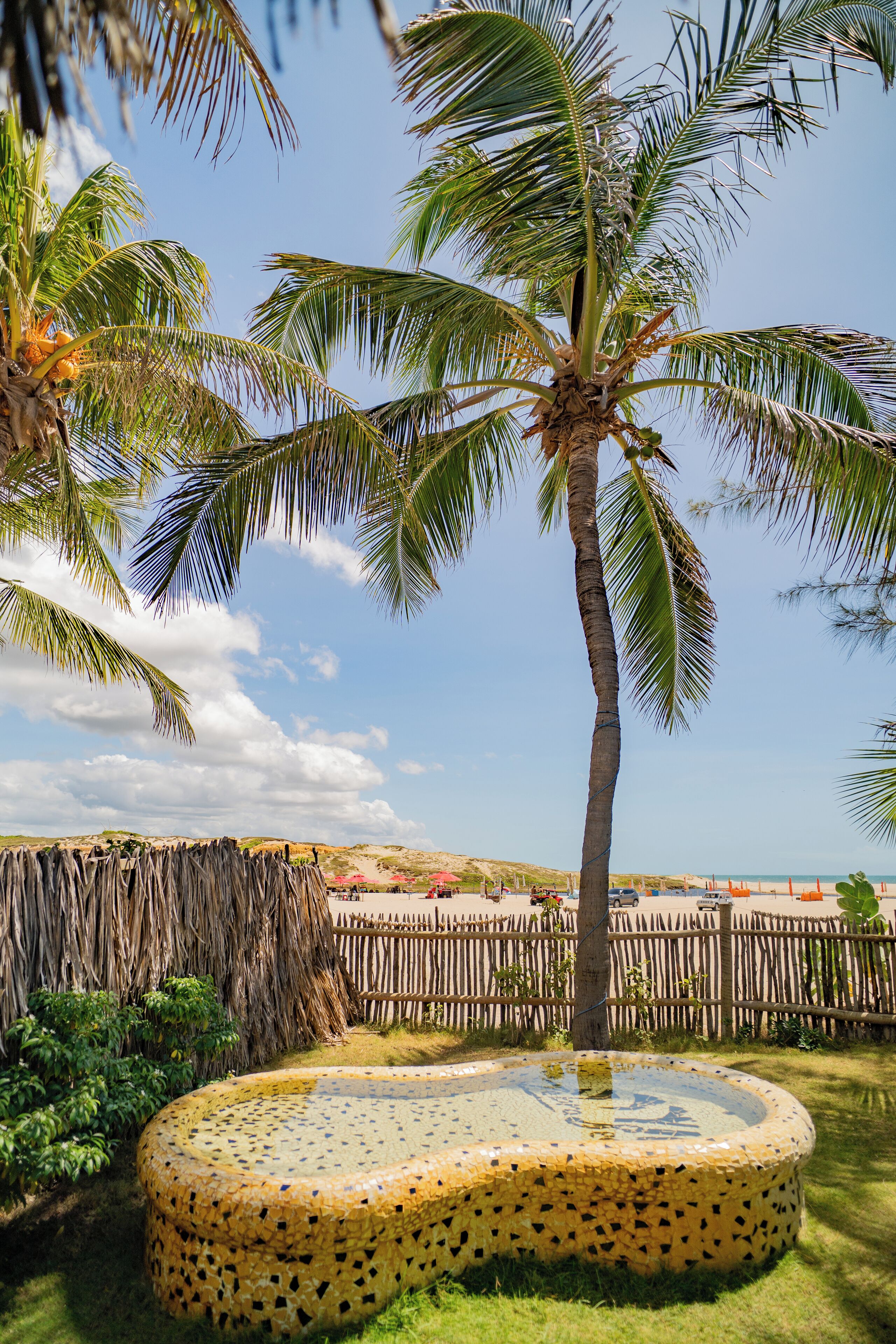 Un jardin tropical avec un palmier, une fontaine en mosaïque et une clôture en bois.