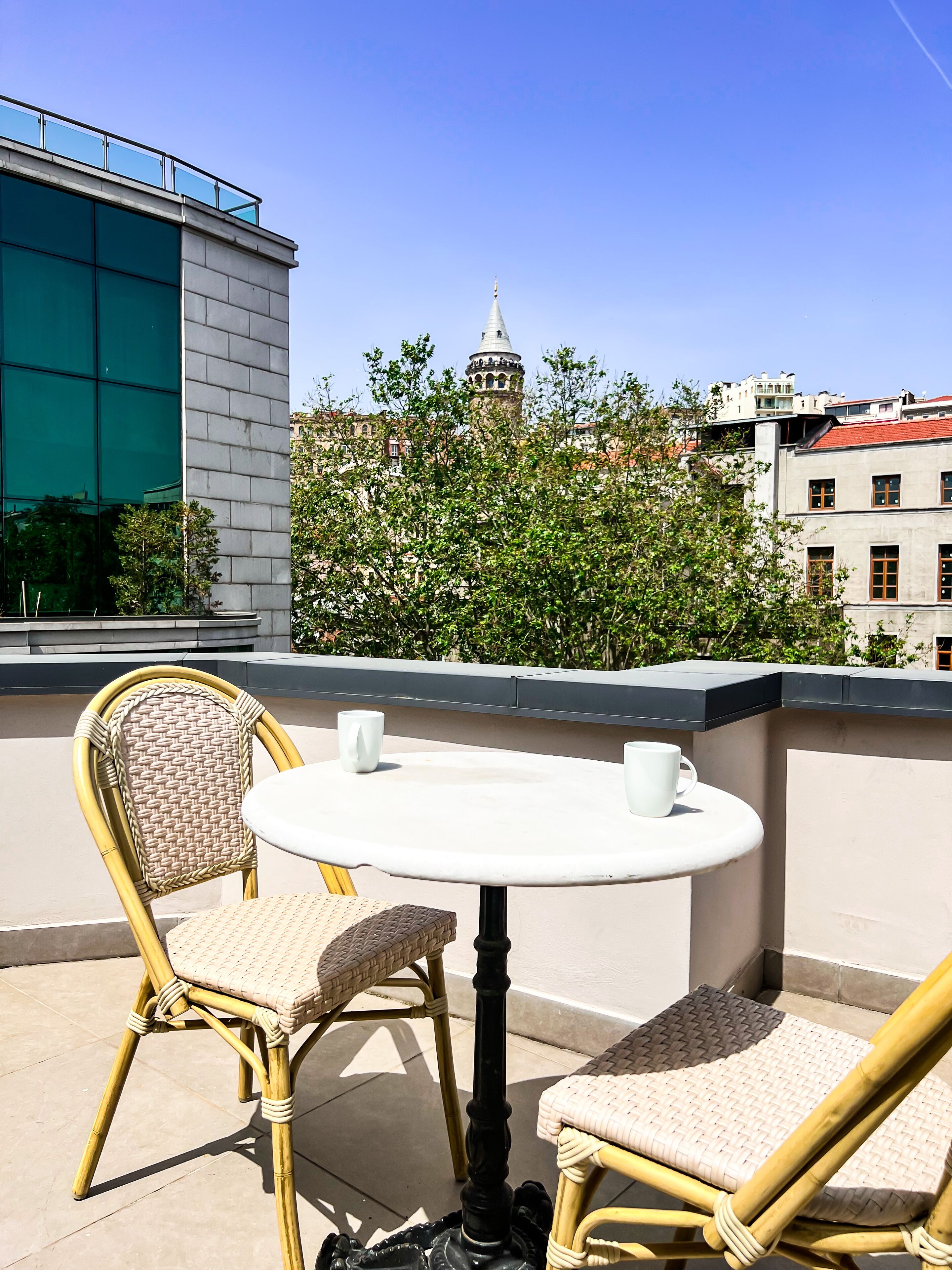 superior double room, terrace, annex building | city view