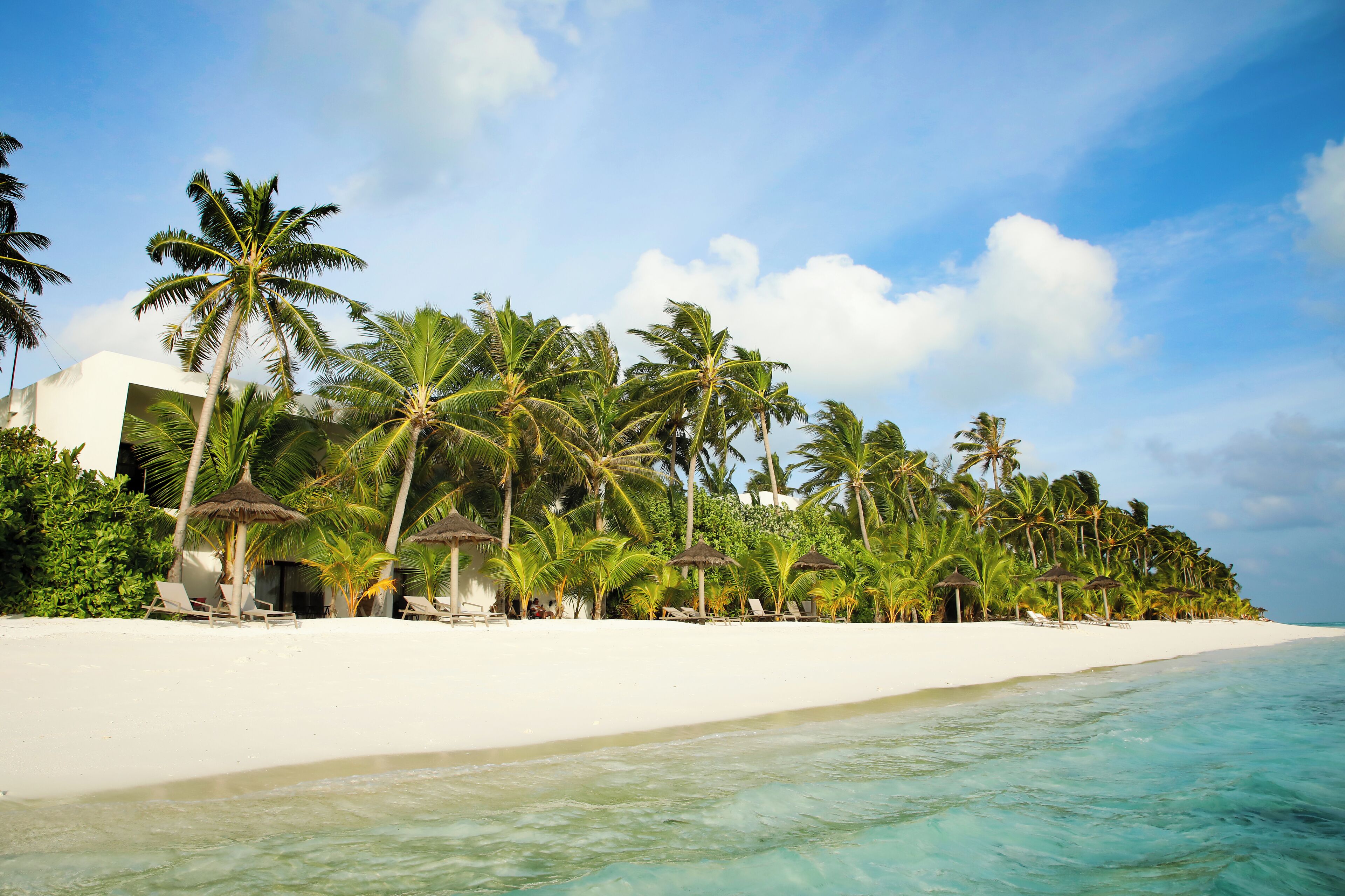Een strand met wit zand, helder turquoise water en palmbomen. Er staan ligbedden en parasols langs de kust.
