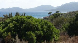 Miscellaneous - Domaine de la Punta (Porto-Vecchio)