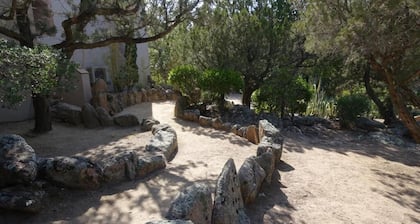 Domaine de la Punta