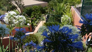 Un jardín con diversas plantas y flores, un sendero y un edificio de techo plano.