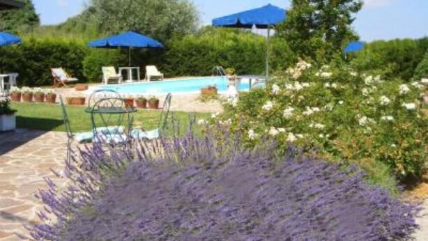A pool area with lounge chairs and umbrellas, surrounded by well-maintained gardens and a clear sky.