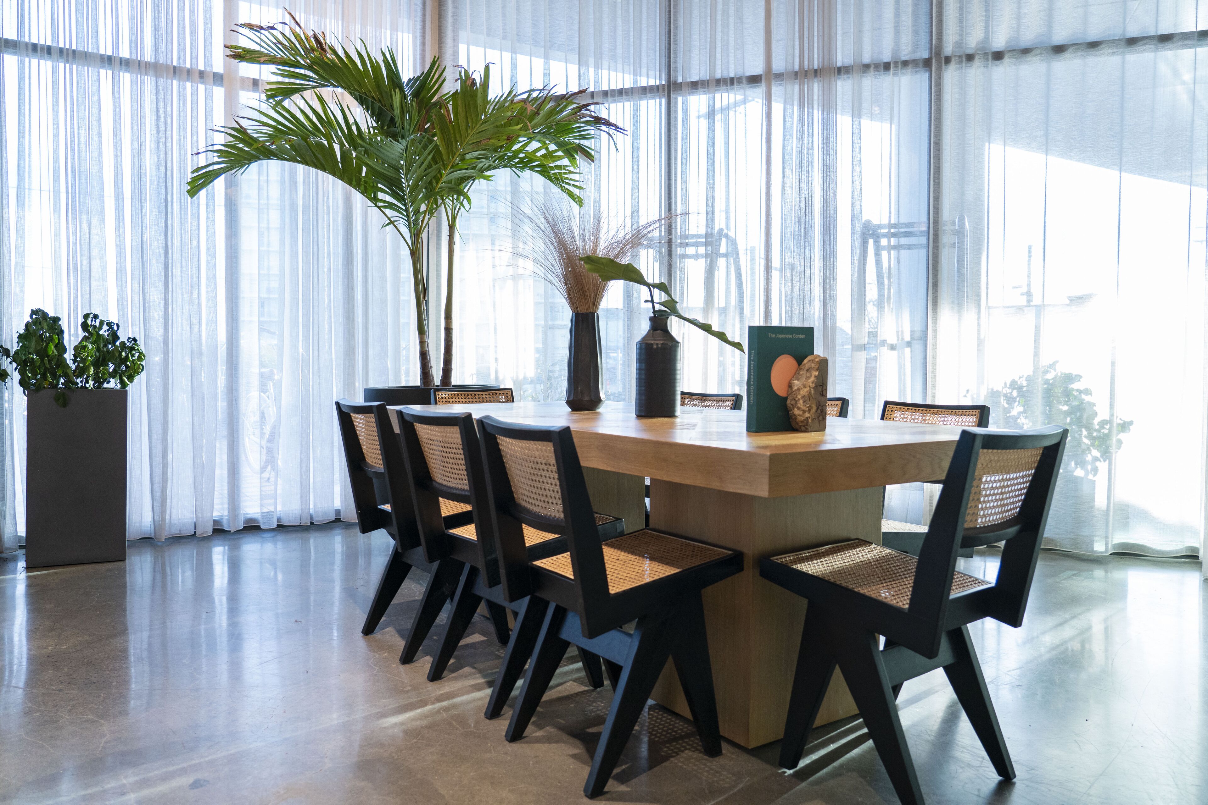 A modern dining area with a wooden table and black chairs, surrounded by sheer curtains and potted plants.