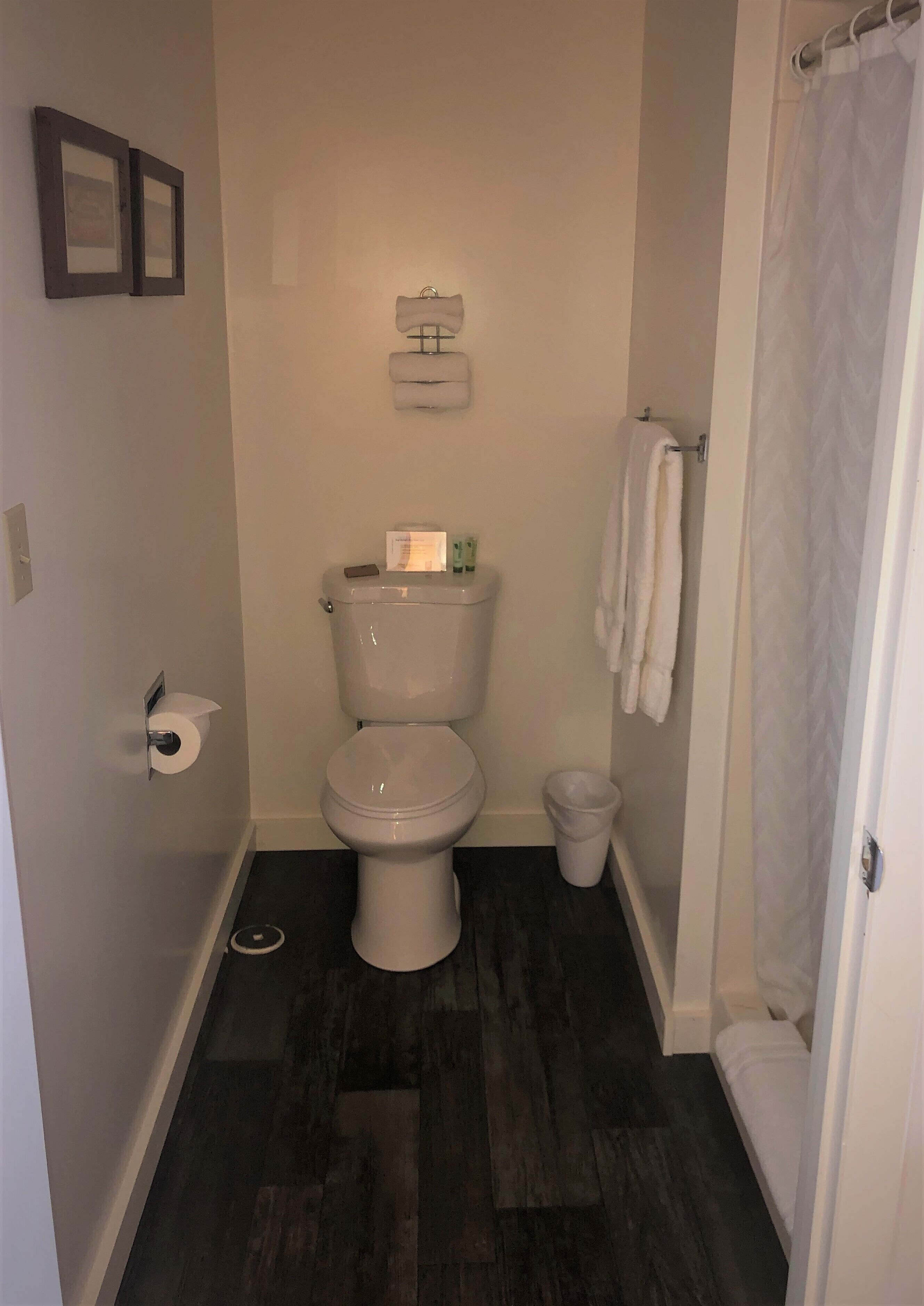Ein Badezimmer mit Toilette, Mülleimer, Handtuchhalter und Duschvorhang.