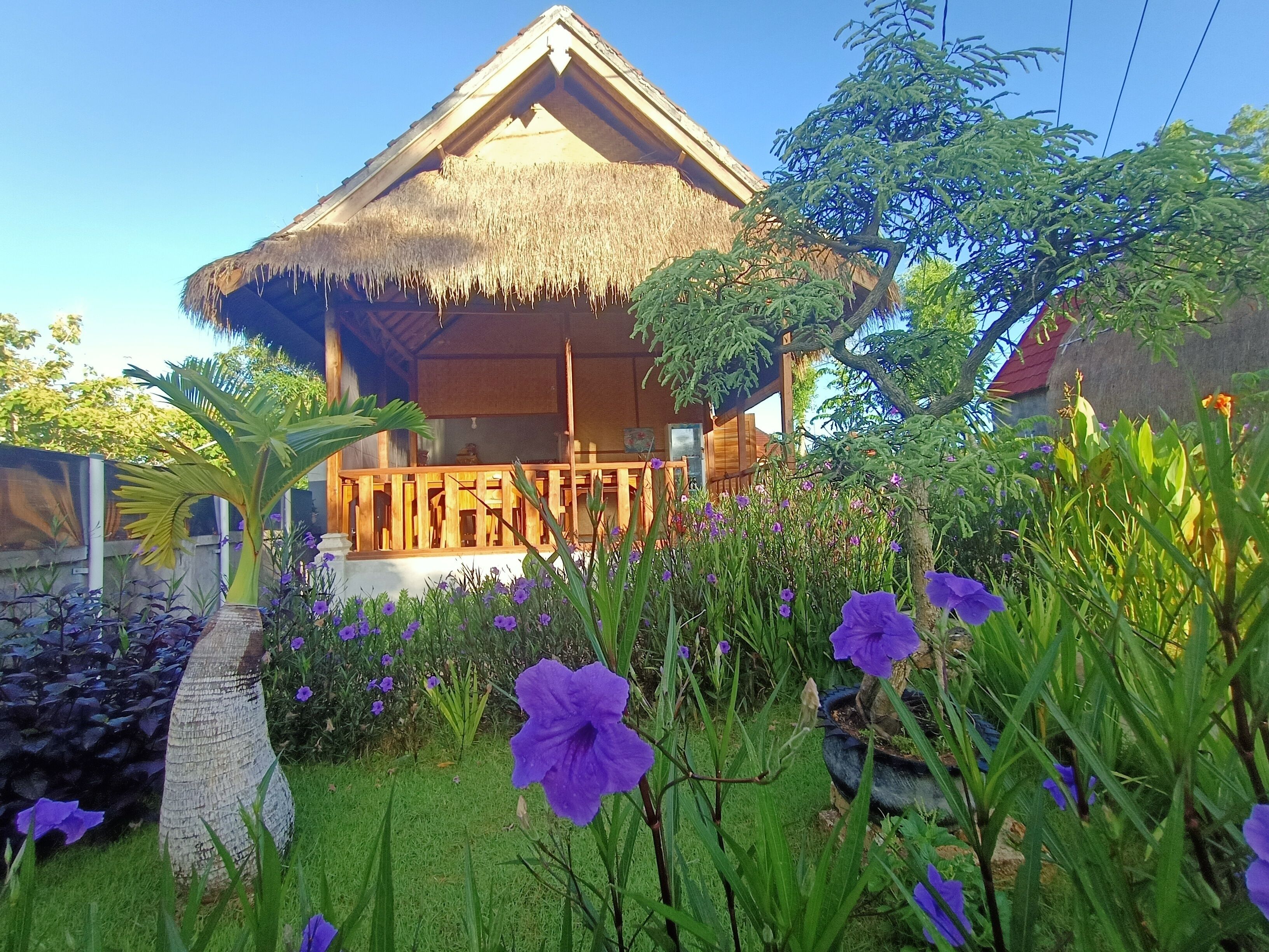 Une maison en bois avec un toit de chaume, entourée d’un jardin où poussent des fleurs violettes et un palmier.