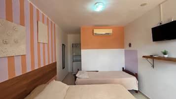 Habitación de hotel con dos camas, un televisor montado, un equipo de aire acondicionado y un pequeño estante con una planta.