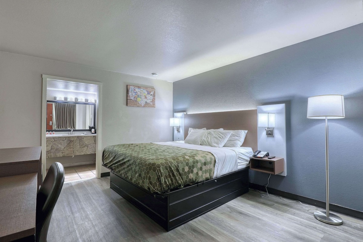 Cortinas blackout, tabla de planchar con plancha y wifi gratis