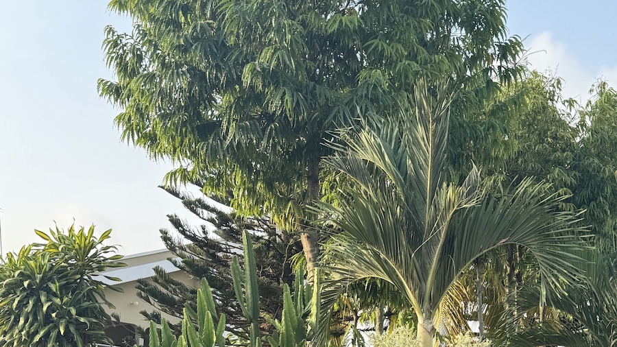 LaRosa Executive Guest House