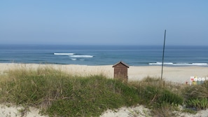 Plage à proximité, chaises longues