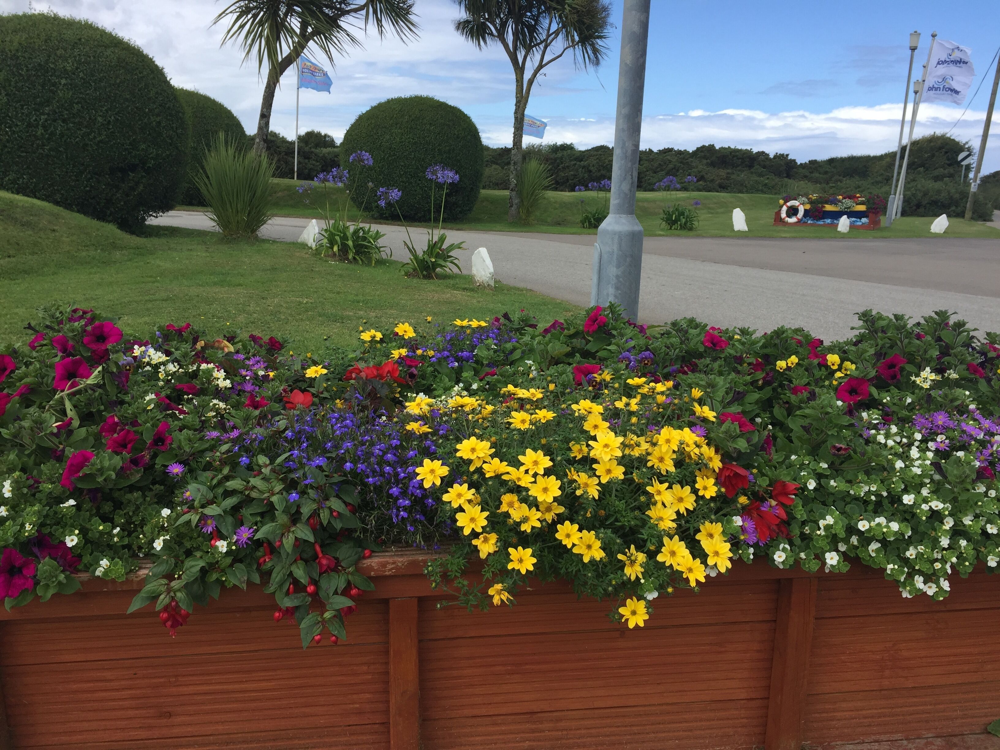 Un jardín ajardinado con una variedad de flores coloridas y arbustos cuidadosamente podados.