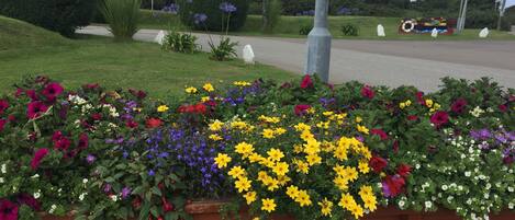 Un jardín ajardinado con una variedad de flores coloridas y arbustos cuidadosamente podados.