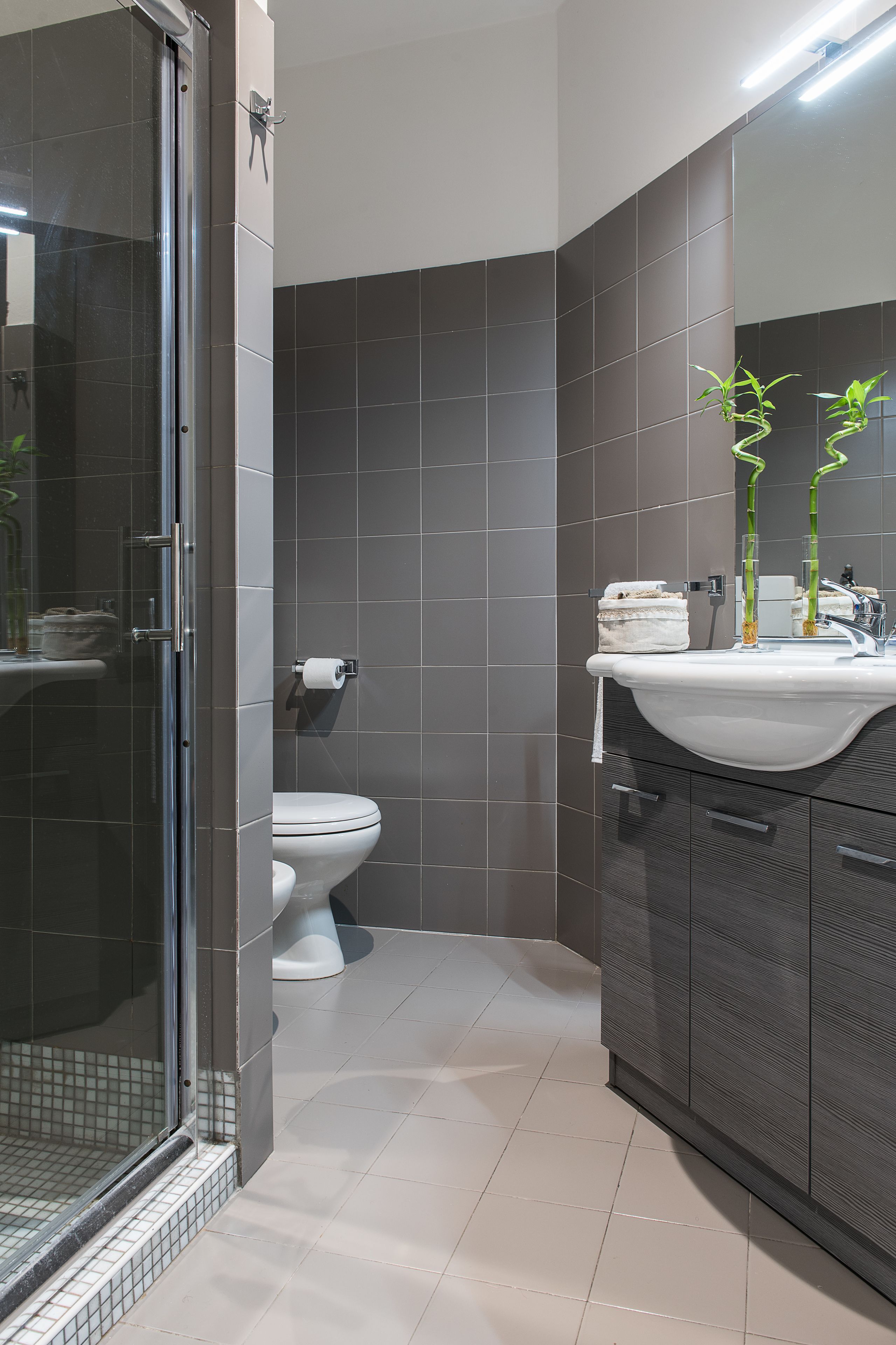 Bruser, hårtørrer, bidet, håndklæder