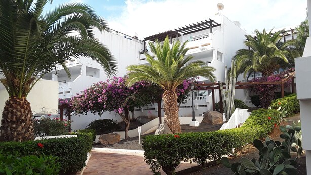 Un patio con palmeras, un sendero de ladrillo y edificios blancos con balcones.