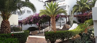 Leilighet farmiente 527