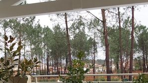 A balcony with potted plants and a view of a forested area. - VILLA WITH HEATED SWIMMING POOL / HOUSE WITH HEATED POOL (Lège-Cap-Ferret)