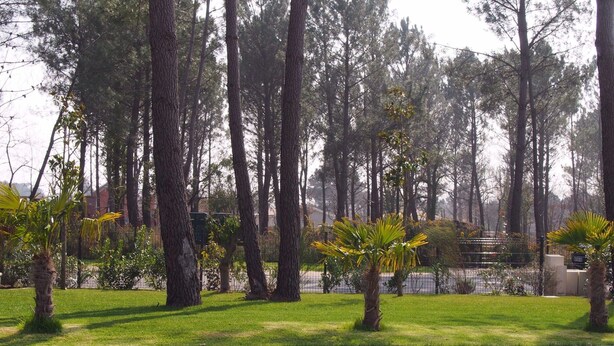 A pool surrounded by tall trees and a grassy area. - VILLA WITH HEATED SWIMMING POOL / HOUSE WITH HEATED POOL (Lège-Cap-Ferret)
