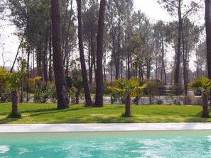 A pool surrounded by tall trees and a grassy area. - VILLA WITH HEATED SWIMMING POOL / HOUSE WITH HEATED POOL (Lège-Cap-Ferret)